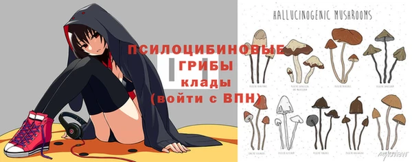 дживик Балахна