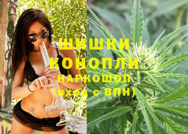 дживик Балахна